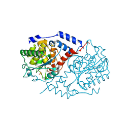 Molmil generated image of 1l4b
