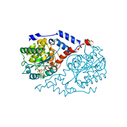 Molmil generated image of 1l4g