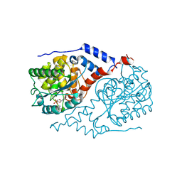Molmil generated image of 1l4l