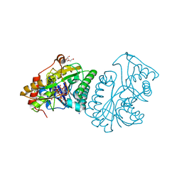 Molmil generated image of 1lrj