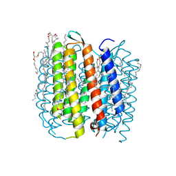 Molmil generated image of 1m0l