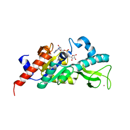 Molmil generated image of 1m2j
