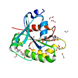 Molmil generated image of 1mr3