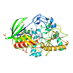 Molmil generated image of 1n4u