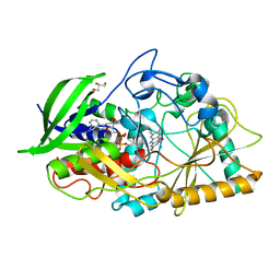 Molmil generated image of 1n4w
