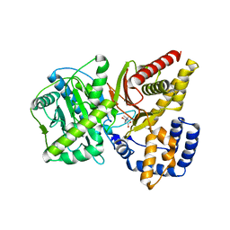 Molmil generated image of 1ndf