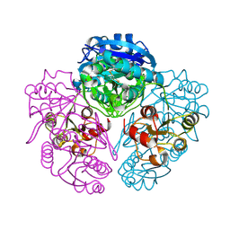 Molmil generated image of 1nns