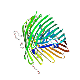Molmil generated image of 1nqf