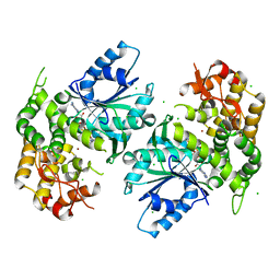 Molmil generated image of 1nrx