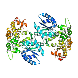 Molmil generated image of 1nua
