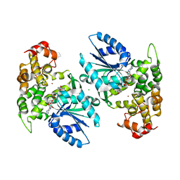 Molmil generated image of 1nve