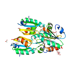 Molmil generated image of 1nw2