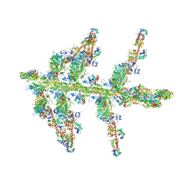 Molmil generated image of 1o1g