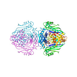 Molmil generated image of 1o92