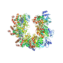 Molmil generated image of 1pvo