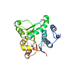Molmil generated image of 1q0u