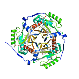 Molmil generated image of 1q23