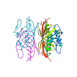 Molmil generated image of 1q4s