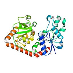 Molmil generated image of 1qkj