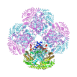 Molmil generated image of 1qlt