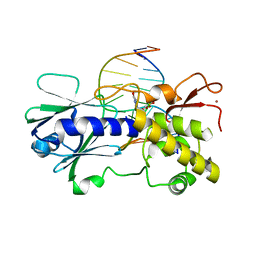 Molmil generated image of 1r2z