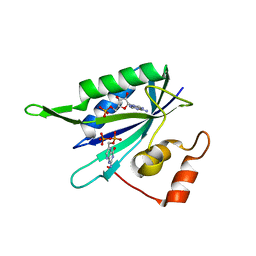 Molmil generated image of 1rao