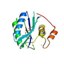 Molmil generated image of 1ru1