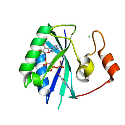 Molmil generated image of 1ru2