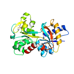 Molmil generated image of 1ryo