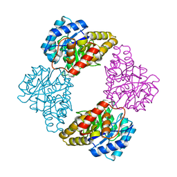 Molmil generated image of 1s5w