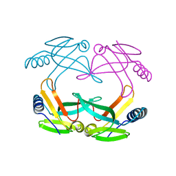 Molmil generated image of 1s98