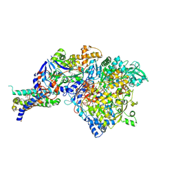 Molmil generated image of 1siw