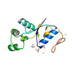 Molmil generated image of 1sk2