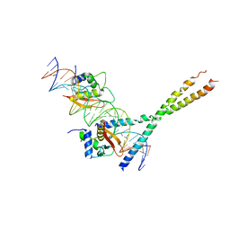 Molmil generated image of 1t2k