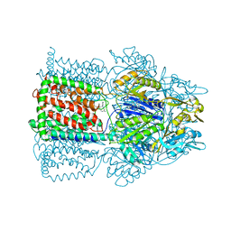 Molmil generated image of 1t9x