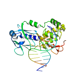 Molmil generated image of 1tdz