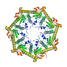 Molmil generated image of 1tg6