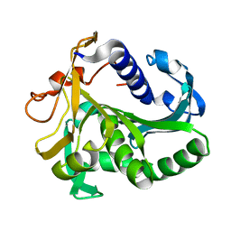 Molmil generated image of 1tia