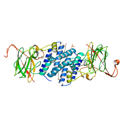 Molmil generated image of 1tmx