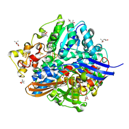 Molmil generated image of 1ubh