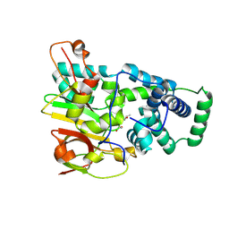 Molmil generated image of 1ugp