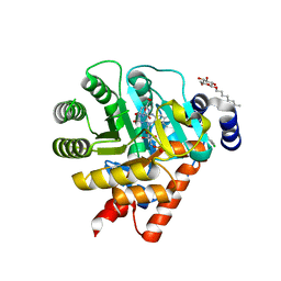 Molmil generated image of 1uum