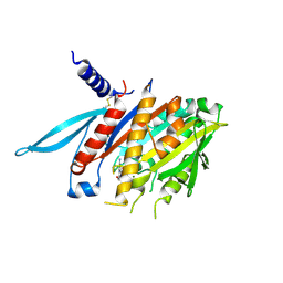 Molmil generated image of 1v8j