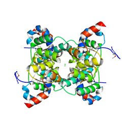 Molmil generated image of 1v8o