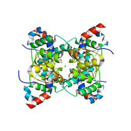 Molmil generated image of 1v8p