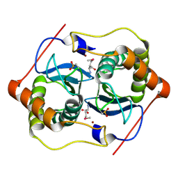 Molmil generated image of 1vje