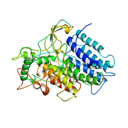 Molmil generated image of 1vnc