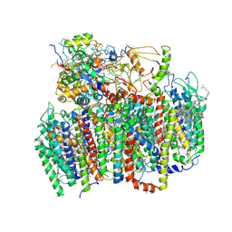 Molmil generated image of 1w5c