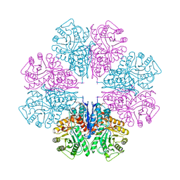 Molmil generated image of 1w6t