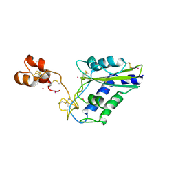 Molmil generated image of 1wvr